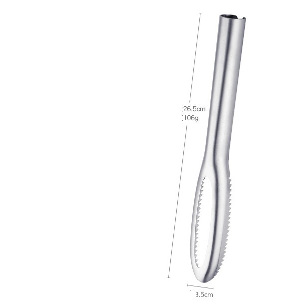 Dụng Cụ Đánh Vẩy Cá Inox Đa Năng IN10