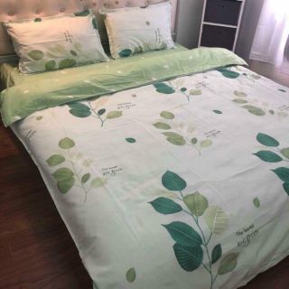 Bộ vỏ chăn ga gối poly cotton ( được chọn mẫu )