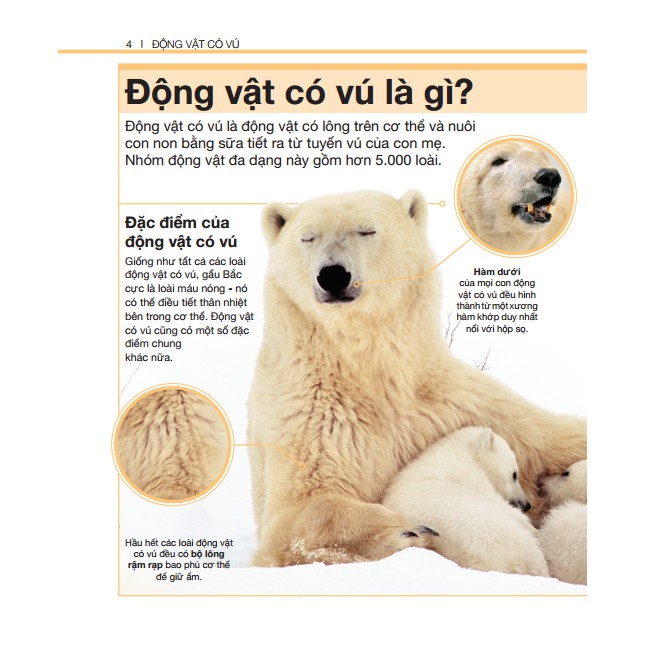 Sách - Bách khoa thiếu nhi động vật có vú (bìa cứng) Tặng Kèm Bookmark