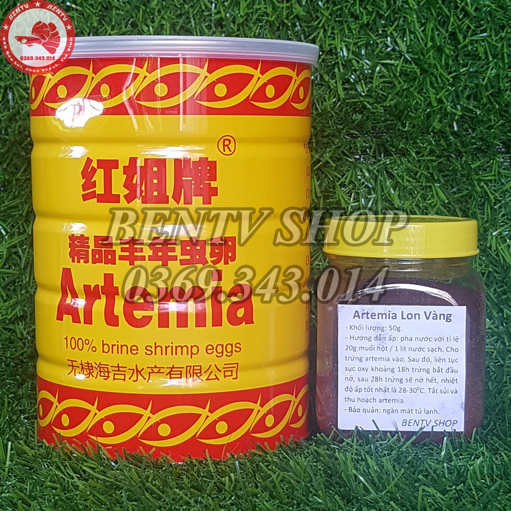 Trứng Artemia Ấp Nở Lon Vàng - Tỉ Lệ Nở Rất Cao