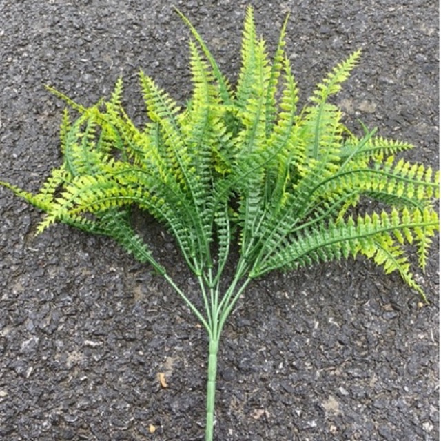 Cỏ dương xỉ cắm điểm chậu hoa,decor trang trí, cắm hoa handmade