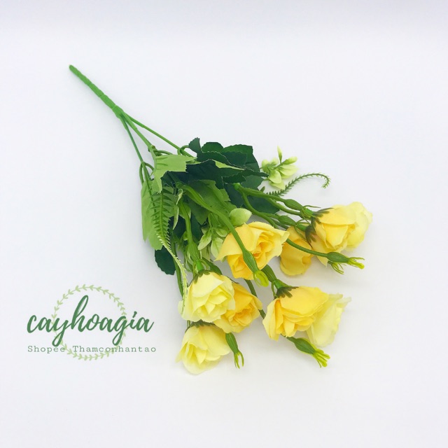 Hoa Giả - Chùm hồng Peace 10 bông