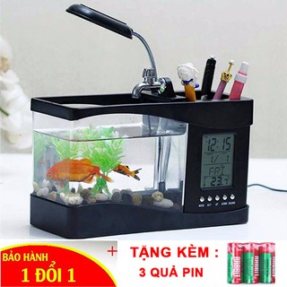 Bể Cá Mini Để Bàn Phong Thủy