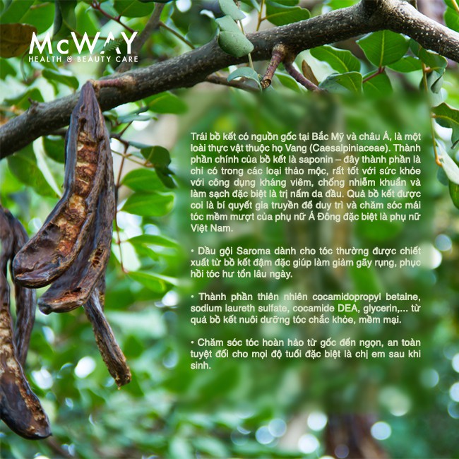 DẦU GỘI BỒ KẾT SAROMA - DÀNH CHO TÓC THƯỜNG 700ML | BigBuy360 - bigbuy360.vn