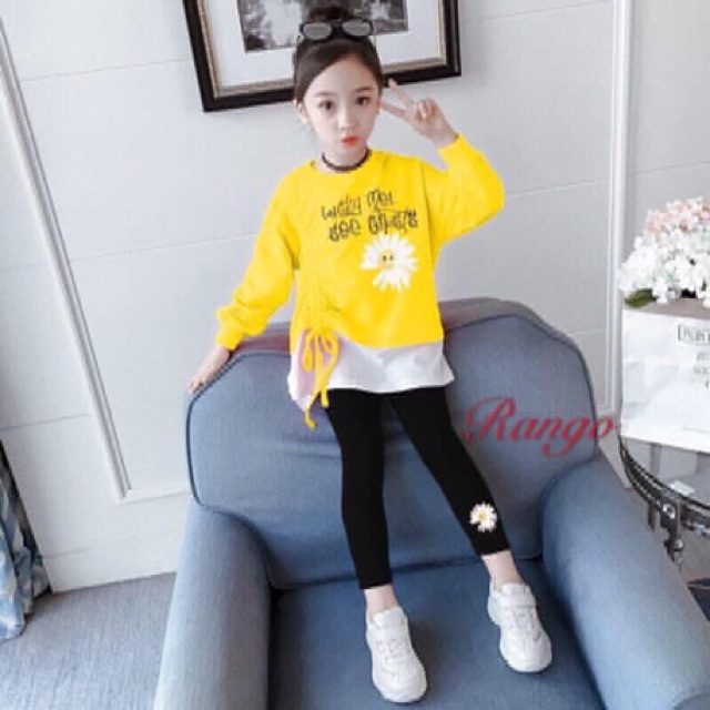 Bộ cotton dài tay bé gái siêu xinh 10-22kg - M481
