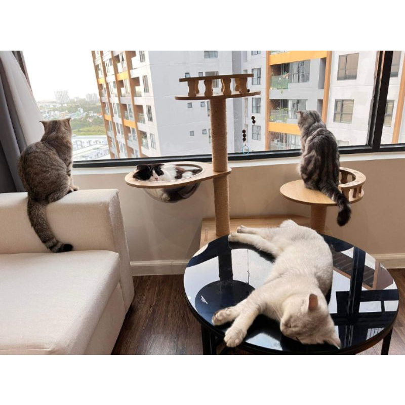 Nhà cây cho mèo kết hợp trụ cào loại đẹp