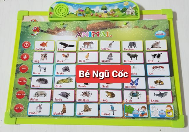 Bảng học thông minh phát âm tiếng anh - tiếng việt 11 chủ đề kèm bảng viết