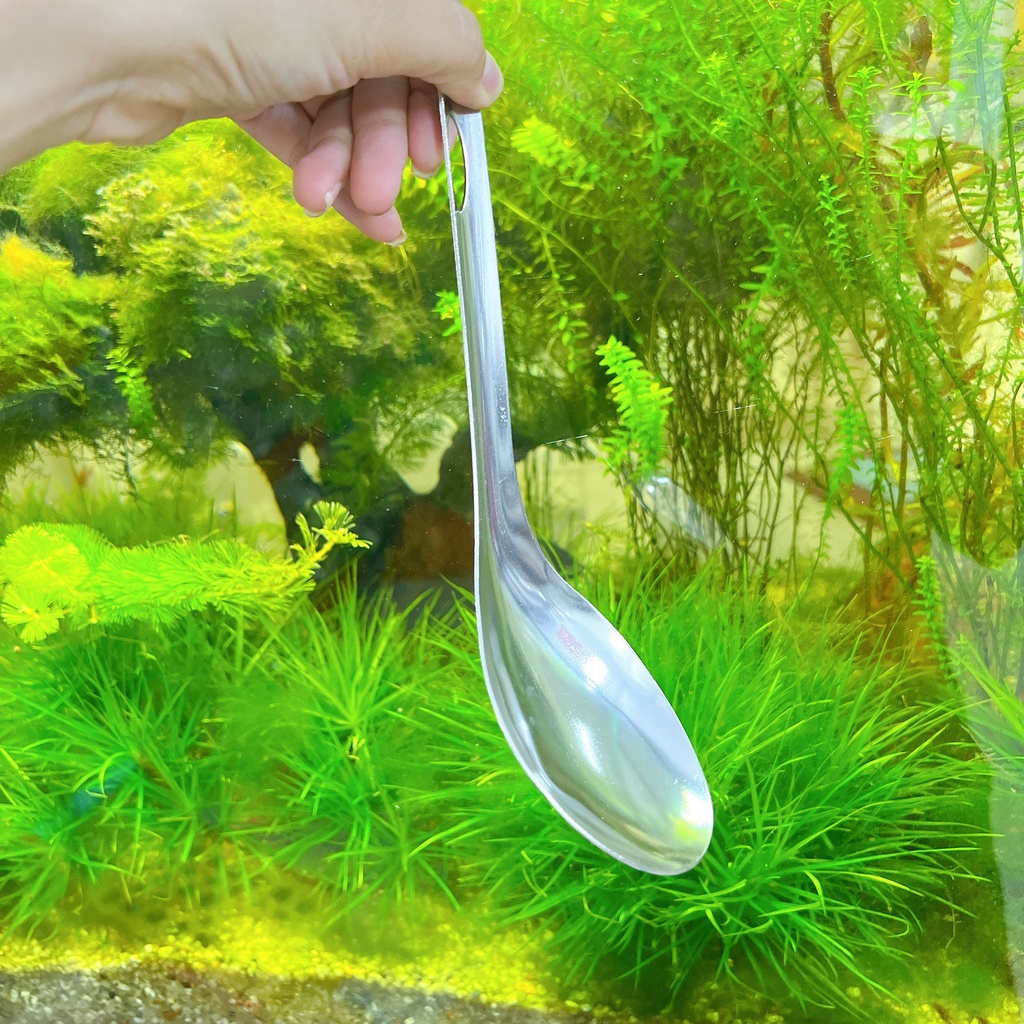 Vá múc cơm , vá múc canh inox Cao Cấp - Vá xới cơm inox OVAL không dính