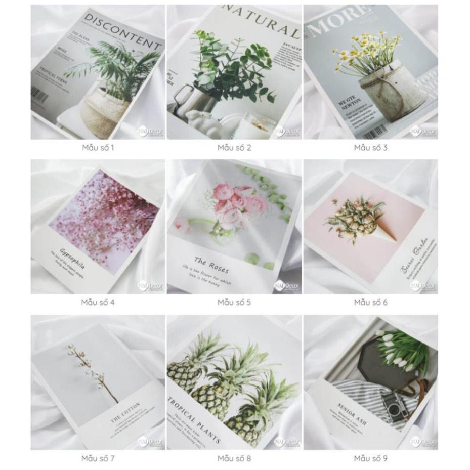 Bìa tạp chí chụp ảnh, Báo Chụp Hình Lookbook Thời Trang Đẹp, Đồ Decor