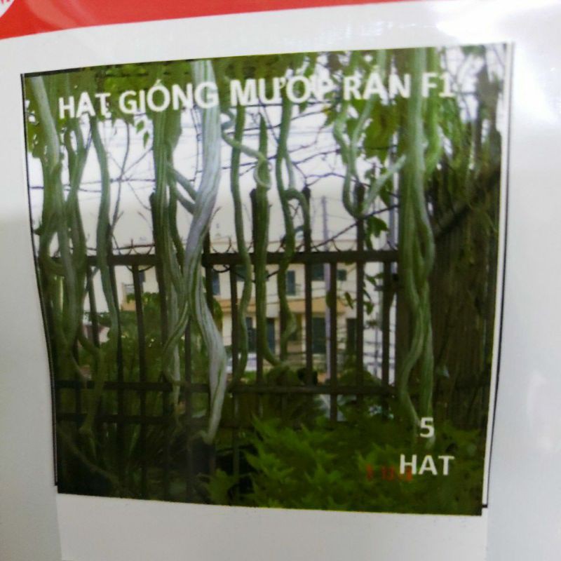 Hạt giống mướp rắn quả dài