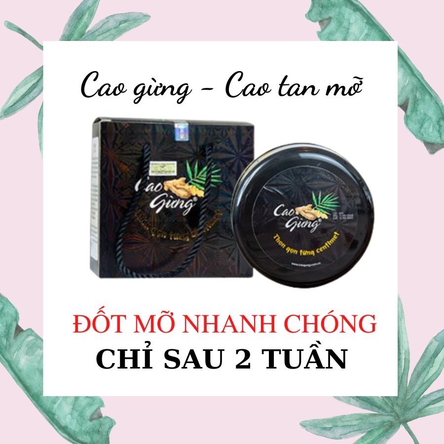 Kem tan mỡ bụng thiên nhiên/ Cao gừng lá rừng thiên nhiên đánh bay mỡ thừa