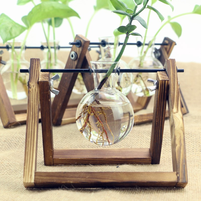 Chậu cây thuỷ tinh trồng cây thuỷ sinh để bàn mini Vintage Canashop