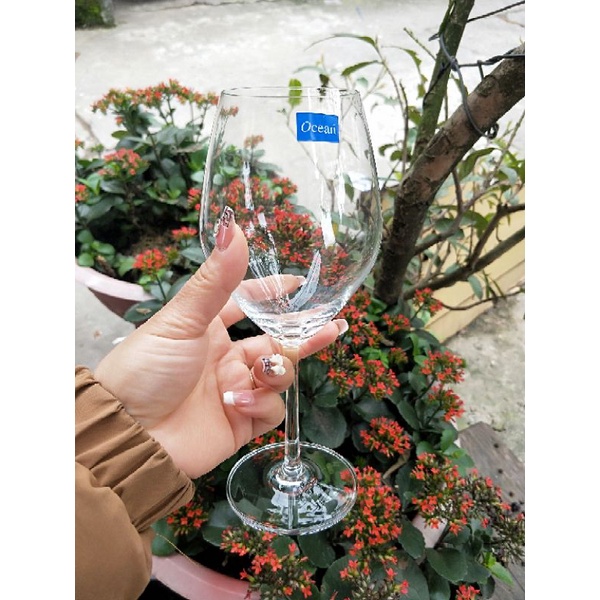 Ly rượu vang Ocean 015r15 - hàng thái lan dung tích 425ml