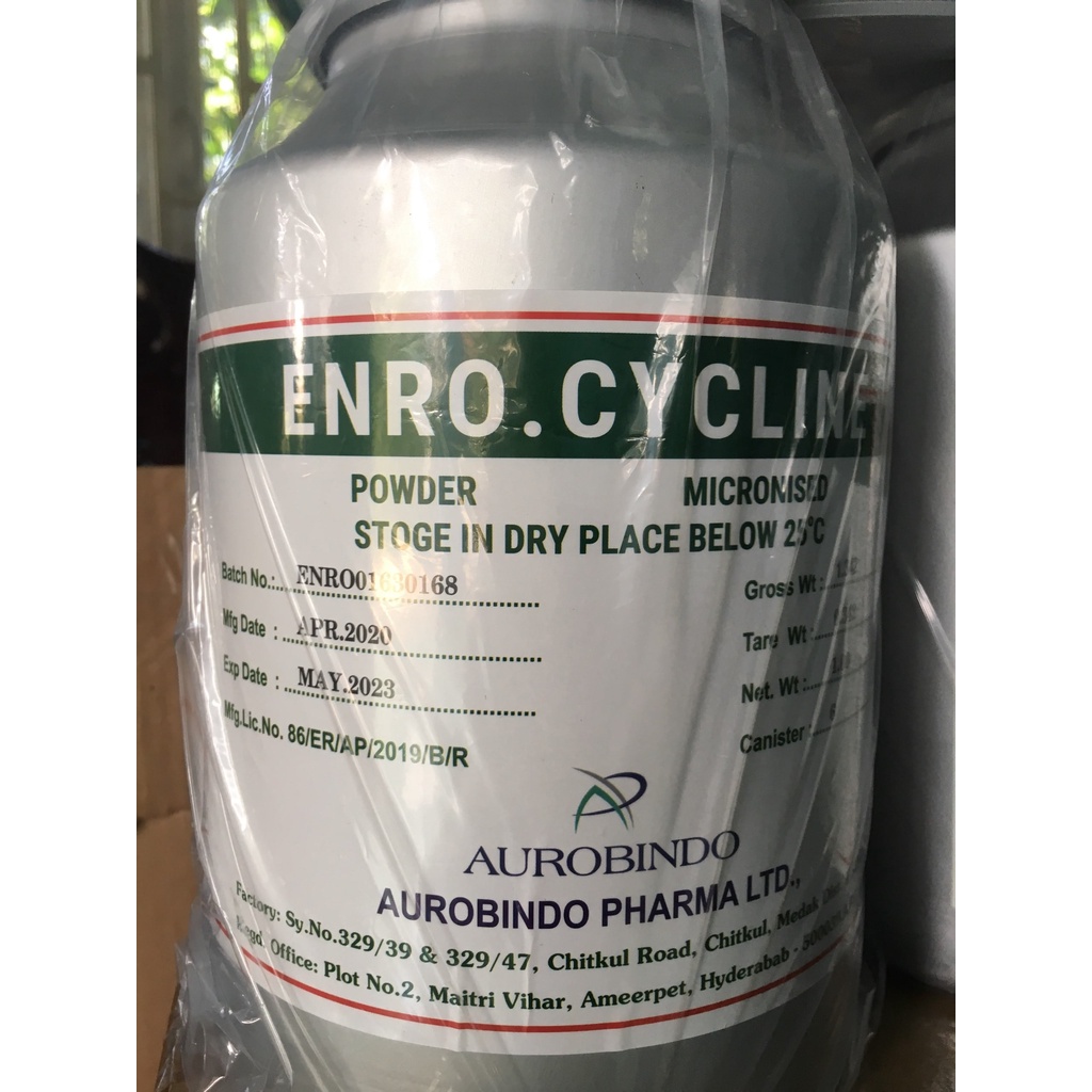 Kháng sinh Enrofloxacin đăc tri nhiễm khuẩn nặng dùng cho tôm cá và thủy sản