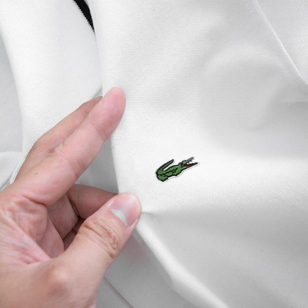 Áo phông nam có cổ polo cộc tay cao cấp Hamino vải thun cotton co giãn màu trắng đen đẹp ôm dáng thời trang Hàn Quốc E1 | BigBuy360 - bigbuy360.vn