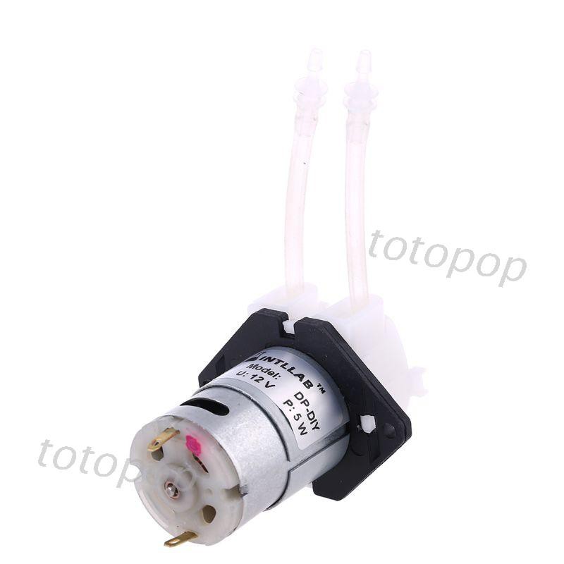 Bơm Nhu Động Dc 12v D3 2mm Cho Hồ Cá