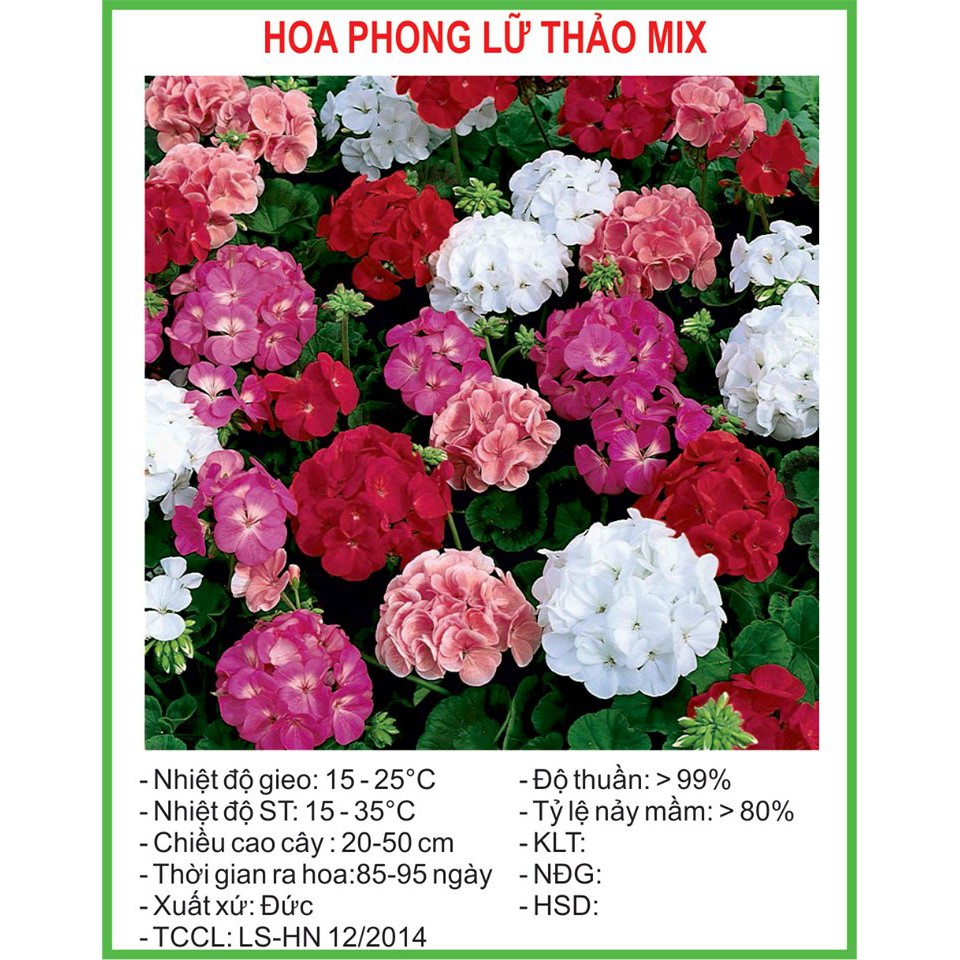 [Rẻ Vô Địch] Hạt Giống Phong lữ thảo Mix 10 Hạt/ Gói golden seed