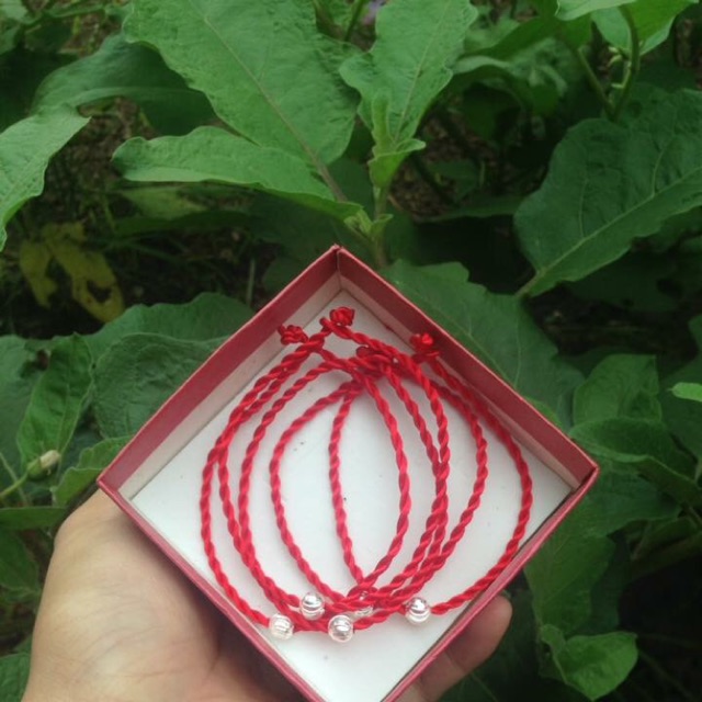 Sợi chỉ đỏ