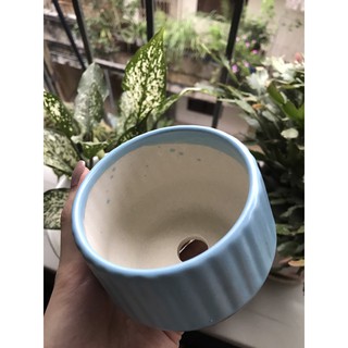 CHẬU SỨ BÁT TRÀNG MINI DECOR SIÊU XINH