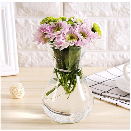 BÌNH THỦY TINH trồng cây thủy sinh