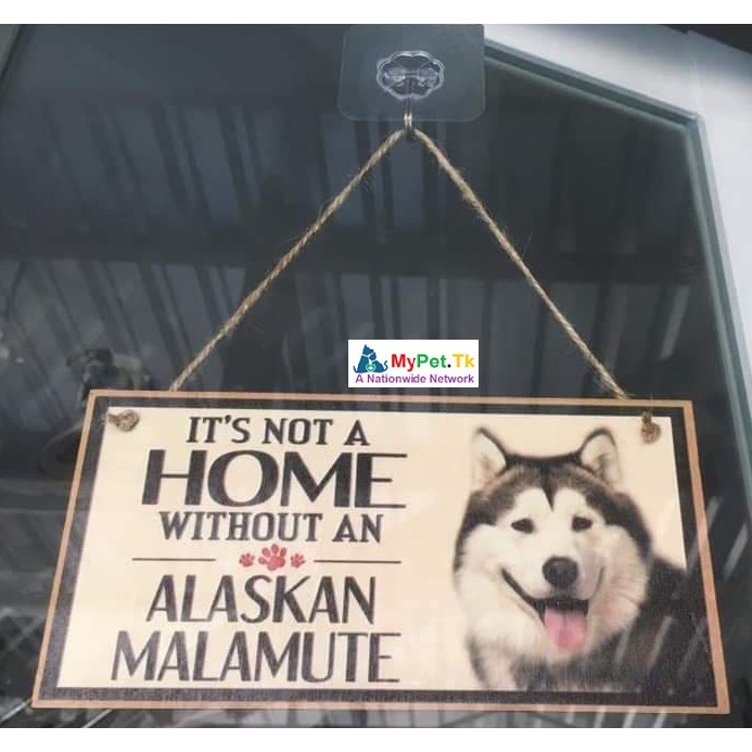 Tranh Các Giống Chó Treo Tường, Cửa Trang Trí Shiba, Alaska, Bulldog