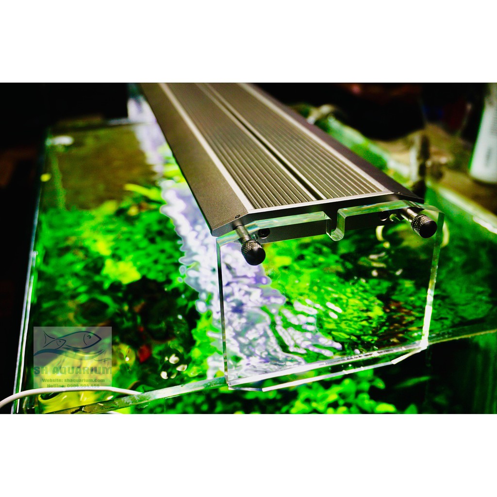 ĐÈN WEEK AQUA M900 PRO