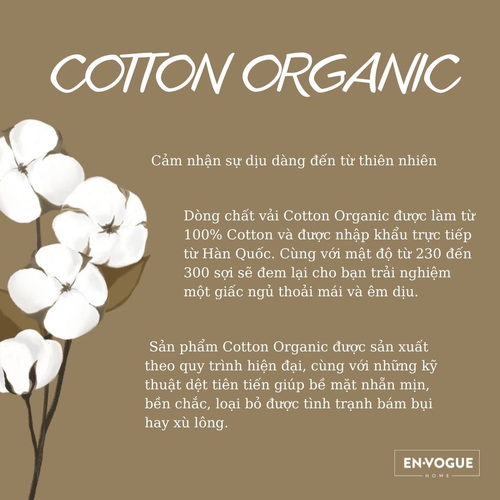 Vỏ gối nằm HỌA TIẾT Cotton Organic Envogue Home  - 1 chiếc