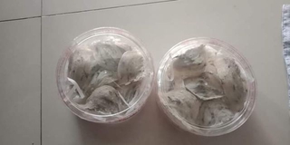 TỔ YẾN  THÔ   NHÀ  NUÔI