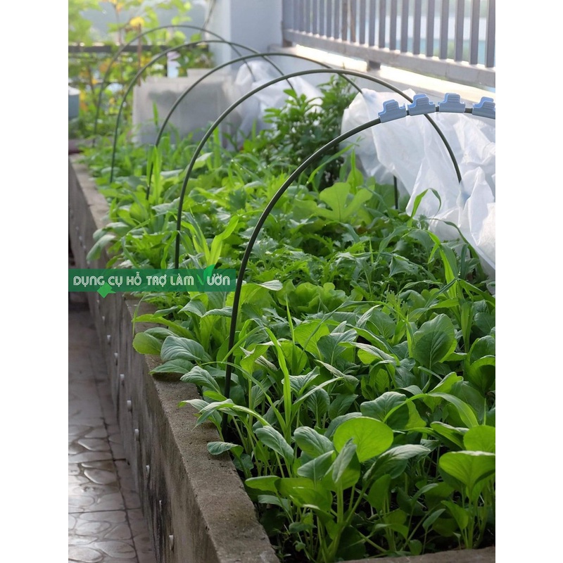 Khung vòm trồng rau ăn lá, cao 60cm rộng 65cm set 10 cái, chuyên trồng rau ăn lá, vòm khung trồng cây