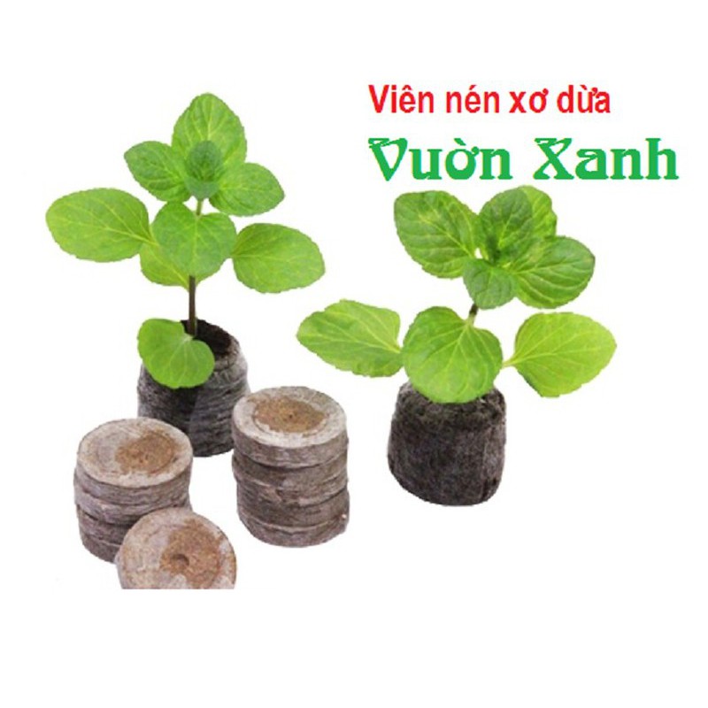 [20 Viên] Viên Nén Xơ Dừa Ươm Hạt Giống Tiện Lợi, Giúp Nảy Mầm Tốt, Tiện Dụng, Tiết Kiệm Thời Gian