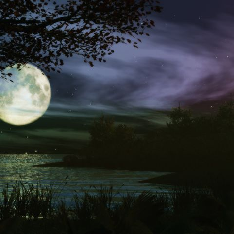 auliyajicz.vn, Cửa hàng trực tuyến | BigBuy360 - bigbuy360.vn