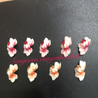 Hoa bột nail hoa ôm đá 1b/12k