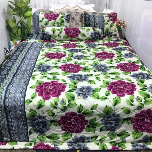 Ga nệm thun hàn quốc