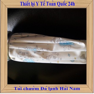 TÚI CHƯỜM ĐÁ LẠNH -SIZE LỚN 22CM