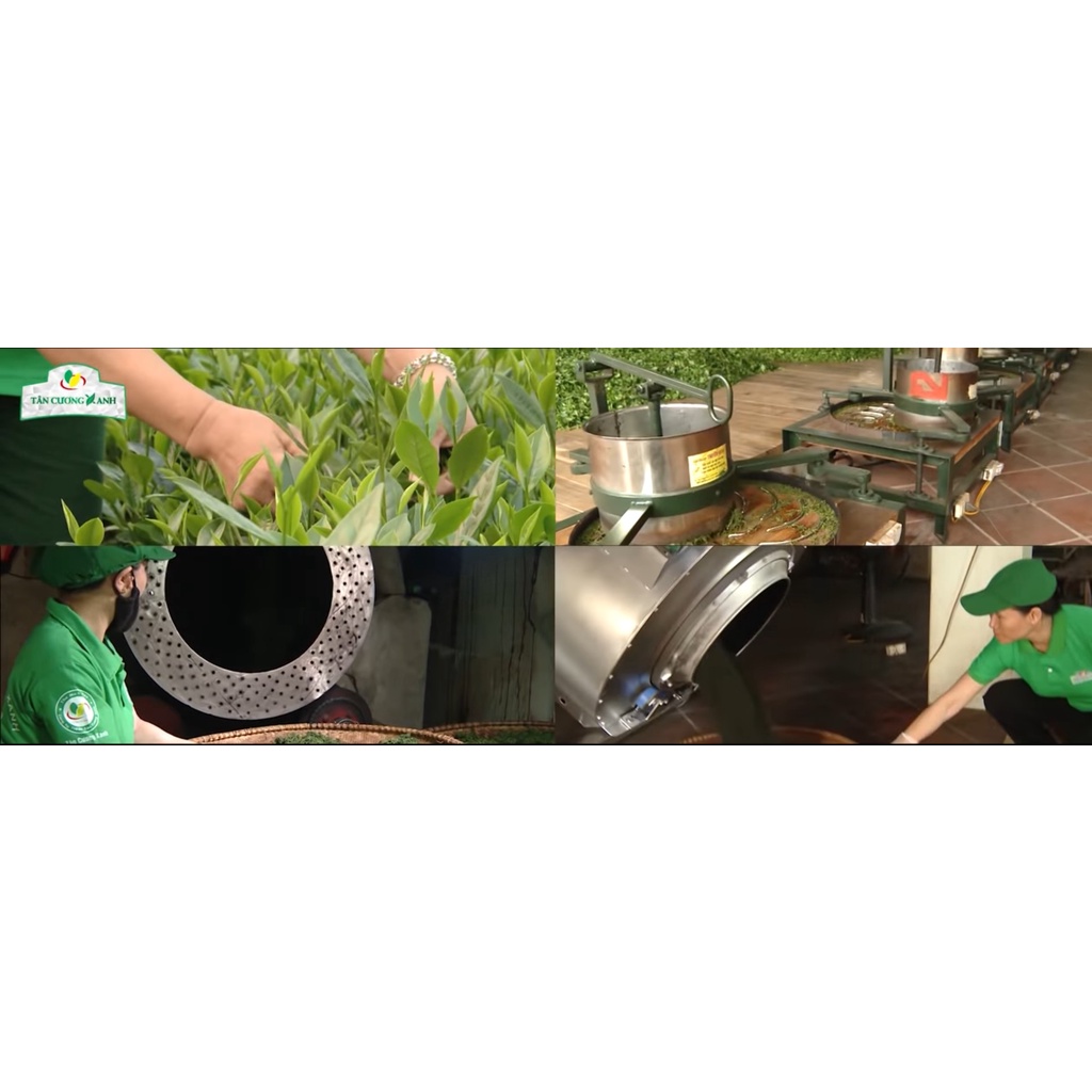 Trà Tân Cương Rồng Vàng Thượng Hạng 1kg - Long Đình 1kg - Tước Thiệt 1kg TÂN CƯƠNG XANH | BigBuy360 - bigbuy360.vn