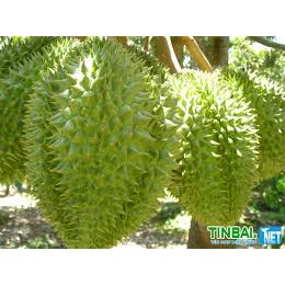 Phân bón trung vi lượng Siêu Magie - Kẽm loại 1kg