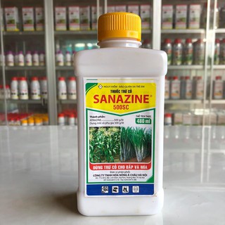 Thuốc trừ cỏ trên cây ngô, mía sanazine