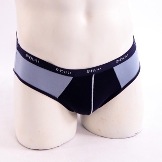 Sịp nhật túi bạc hàng xịn(40-80kg)