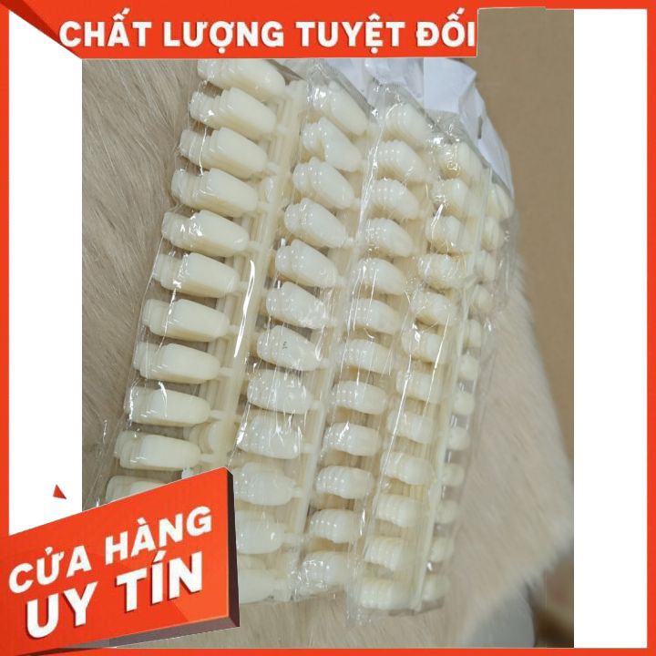 Móng xương cá làm bảng mẫu mẫu móng gắn bảng , dễ làm , màu tự nhiên dễ sơn