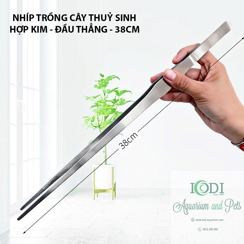 Nhíp trồng cây cho bể thủy sinh