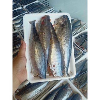 (SHIP HOẢ TỐC 1H) Cá thu nguyên con ướp 500gram