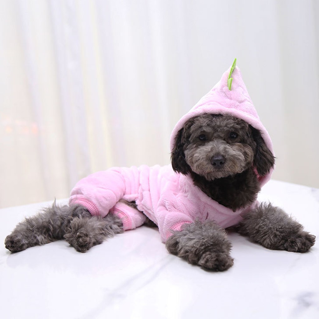 Áo hoodie tạo kiểu khủng long xinh xắn dành cho thú cưng