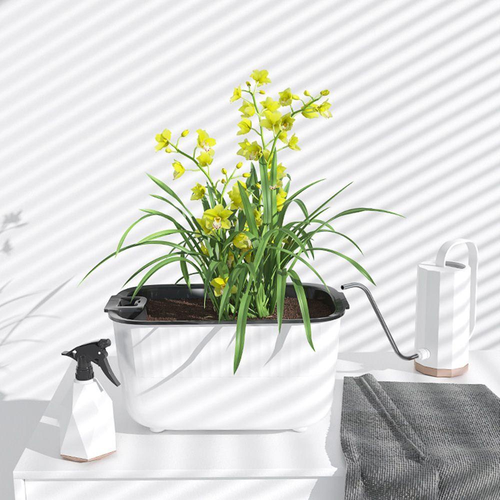 GOGOUP Chậu Trồng Cây Tự Hút Tiện Lợi