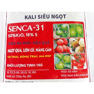 Phân bón lá siêu kali ngọt quả sai hoa lớn củ nặng cân senca 31 1kg