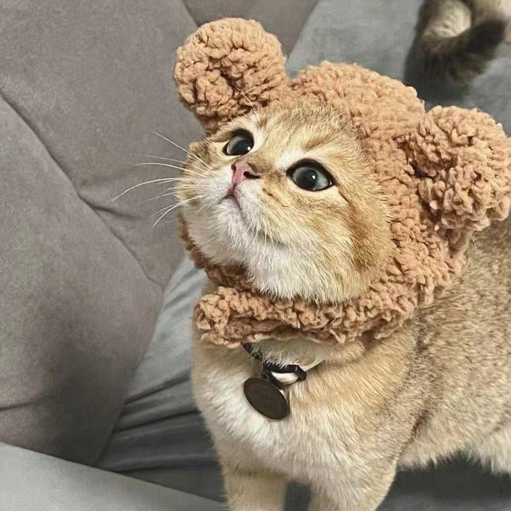 Mũ Đội Đầu Dễ Thương Dành Cho Thú Cưng