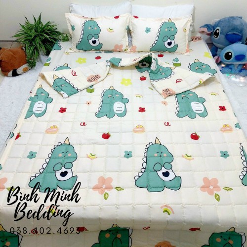 [Xả kho] Bộ chăn ga gối sét hè 100% Cotton Poly Bình Minh bedding chăn ga Hàn Quốc miễn phí bo chun drap ga giường