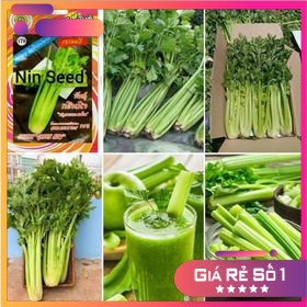 [ Siêu Hạt Giống ] 1Gr - Hạt Giống Cần Tây Mỹ Ngọt 75cm