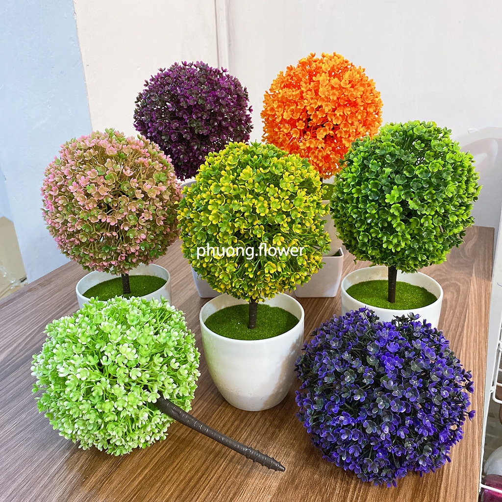 Chậu hoa Cẩm Tú Cầu kèm chậu cây Cỏ bóng tròn bằng nhựa đủ màu trang trí decor bàn làm việc