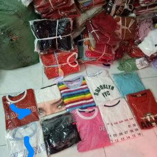 Combo 10 ao thun cotton
