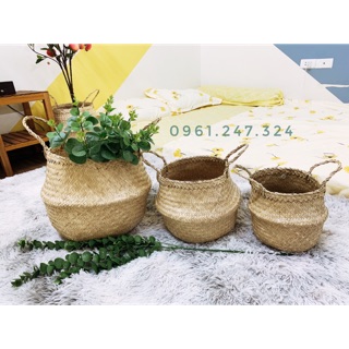 Giỏ cói size 20 25 30